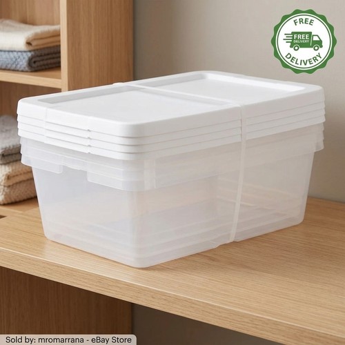 Quart storage boxes - storage,